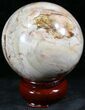Colorful Petrified Wood Sphere #26635-2